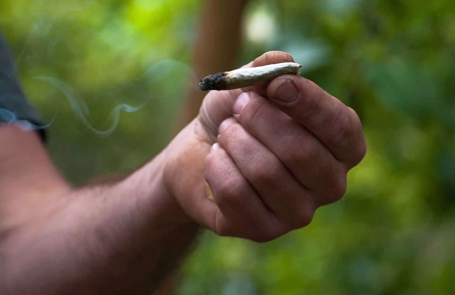 Life Insurance for Marijuana Smokers